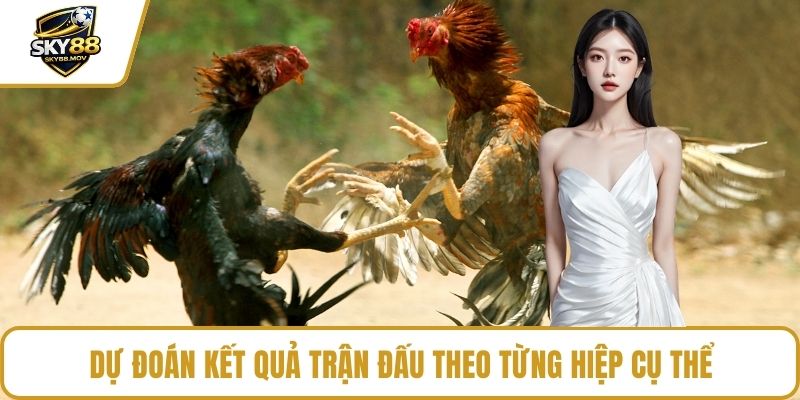 Dự đoán kết quả trận đấu theo từng hiệp cụ thể